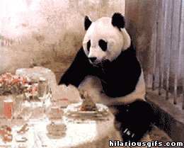 panda-bears-free-animated-gameznet 015.gif
